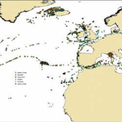 Twenty years of sightings 1993 – 2013.